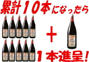 シーフコイダンを低価格にて～